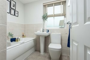 Photo 1- click for photo gallery